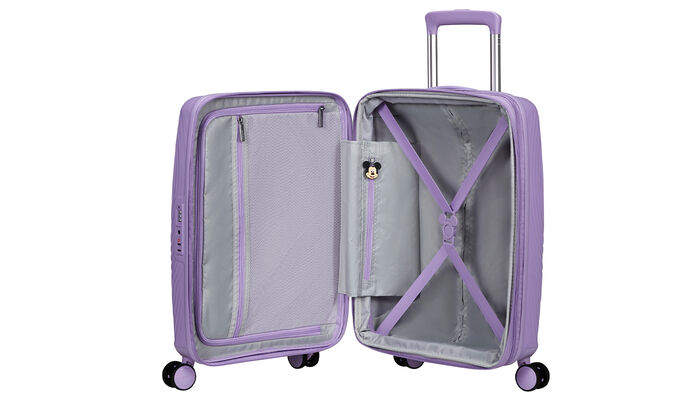 Massima organizzazione