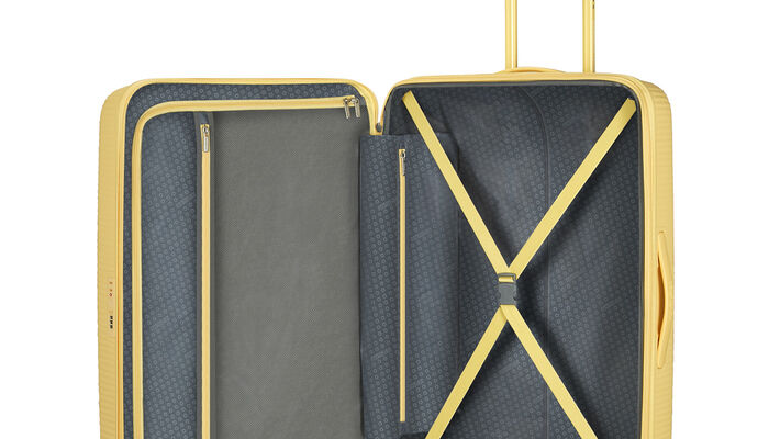 Organizzazione interna