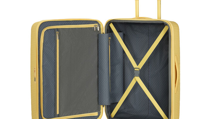 Organizzazione interna