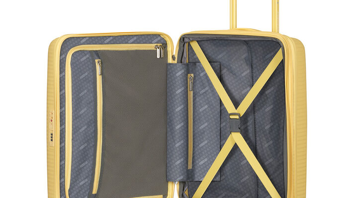 Organizzazione interna