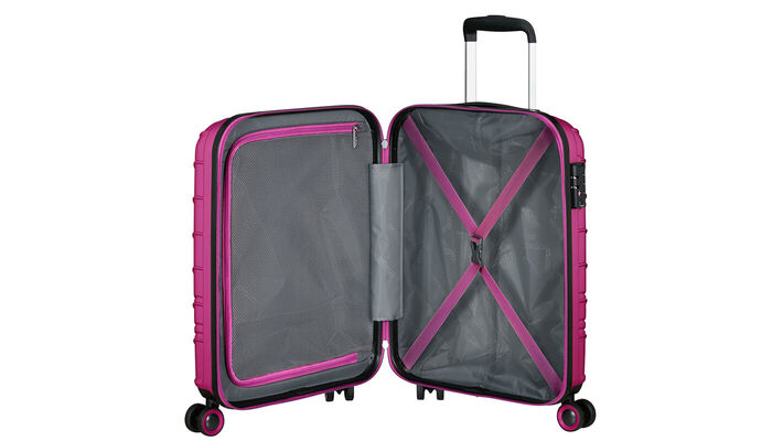 Organizzazione Interna