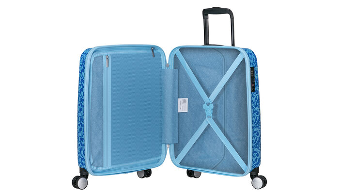 Massima organizzazione