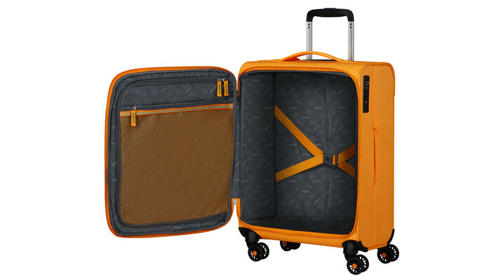 Massima organizzazione