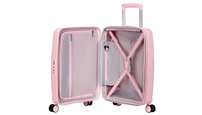 Massima organizzazione