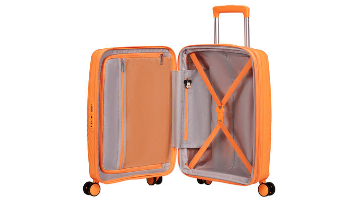 Massima organizzazione