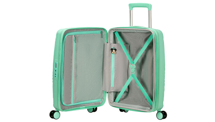 Massima organizzazione