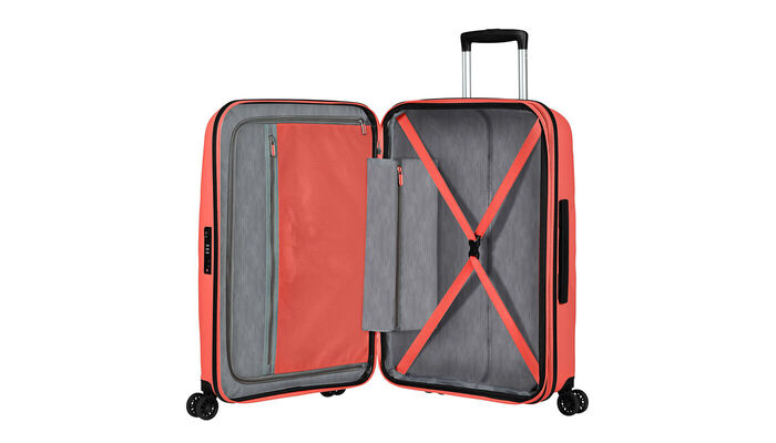 Organizzazione Interna