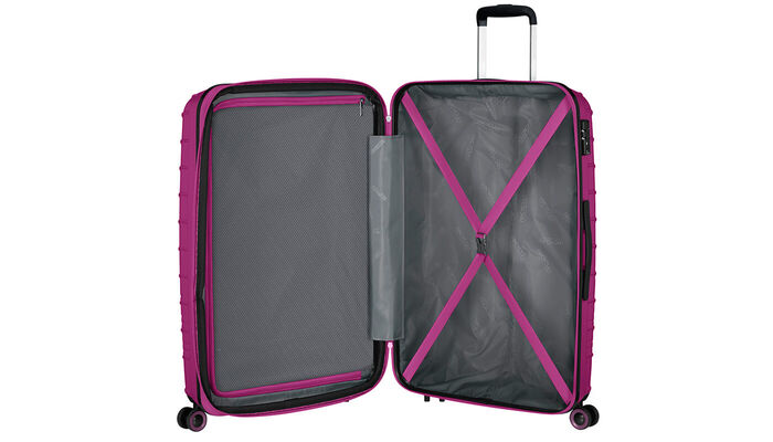 Organizzazione Interna