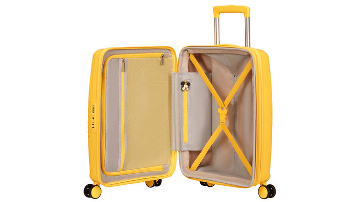 Massima organizzazione