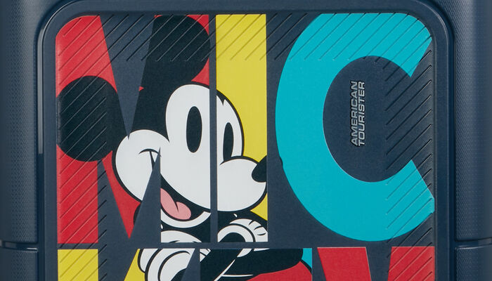 Struttura resistente